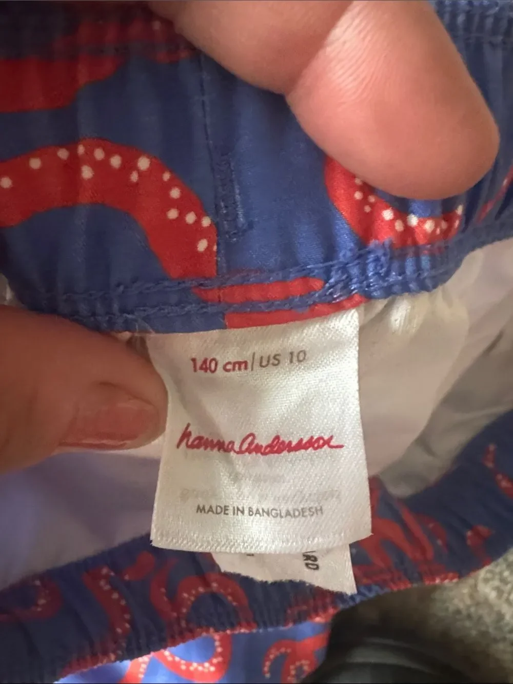 Hanna Andersson Swim Shorts and Rash Guard Set